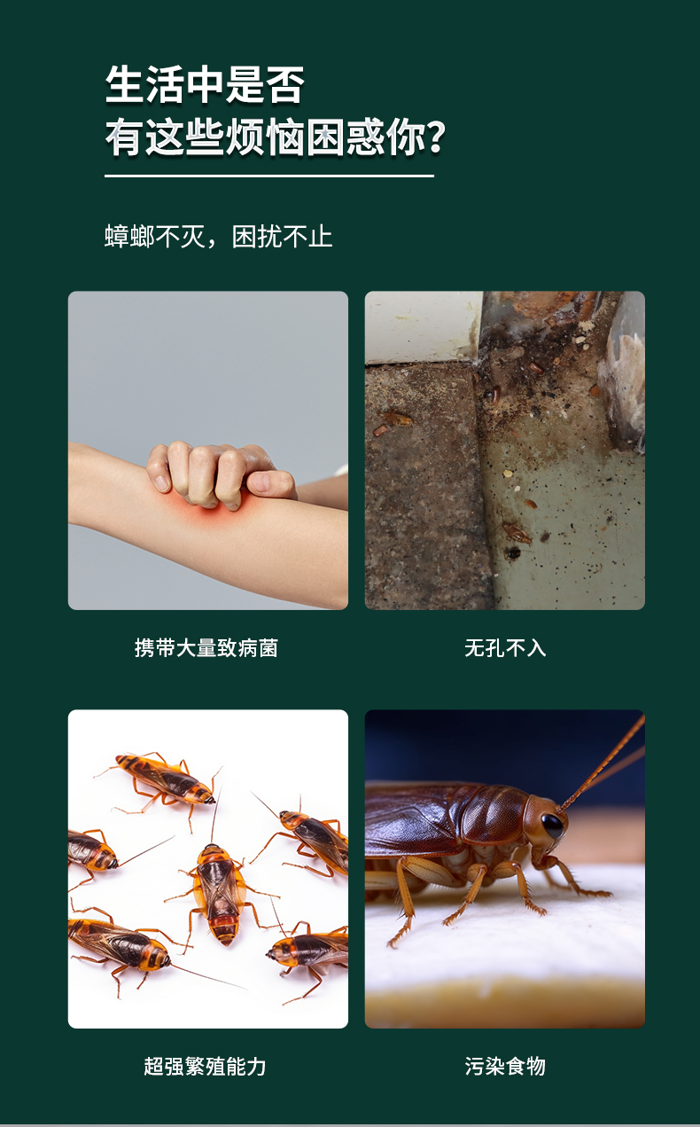 新型灭蟑粉剂_04.jpg